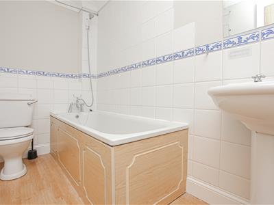 Picture 14